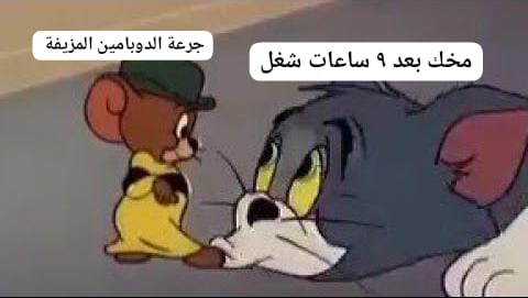 Biicarous's tweet image. 