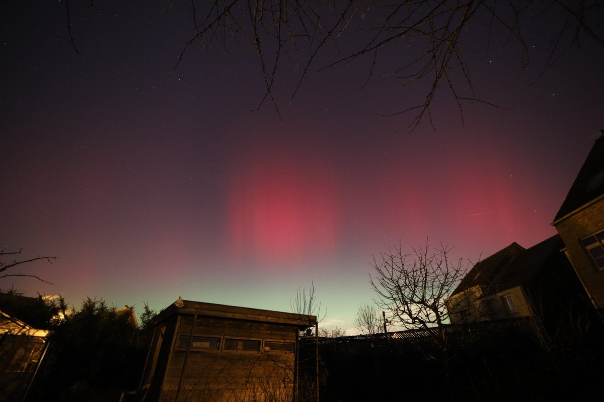 VSW Mira tweet media