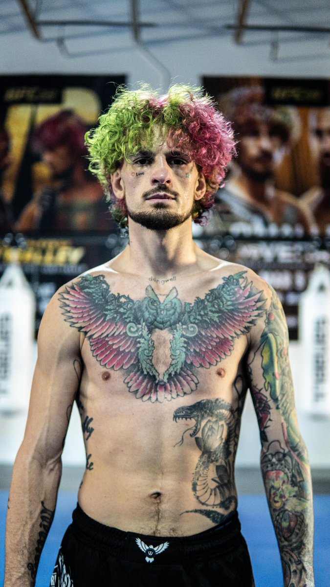 Sean O'Malley tweet media