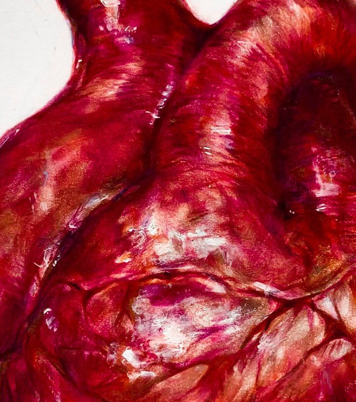 vialisden tweet media