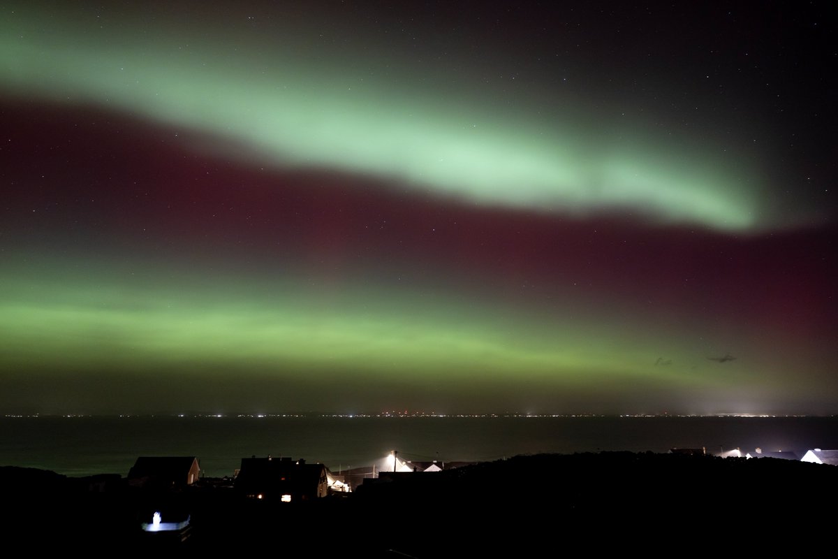 Cormac Coyne tweet media