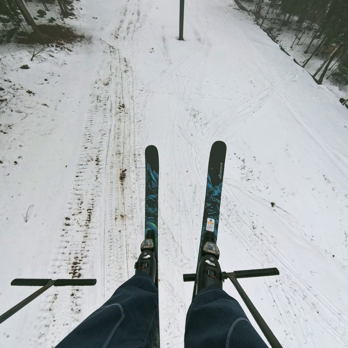 Ski Rex Media tweet media