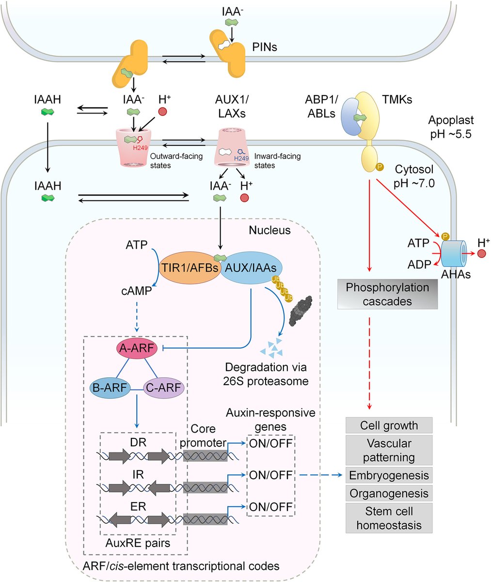 JIPBio tweet picture