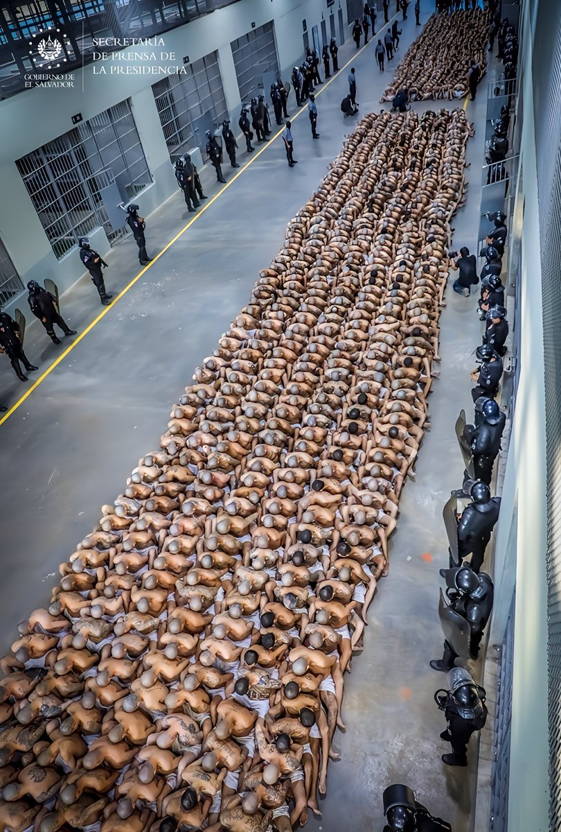 eduardomenoni's tweet image. ¿Estás de acuerdo en que el Método Nayib Bukele de tratamiento a los presos en el CECOT se llevará a cabo en tu país?