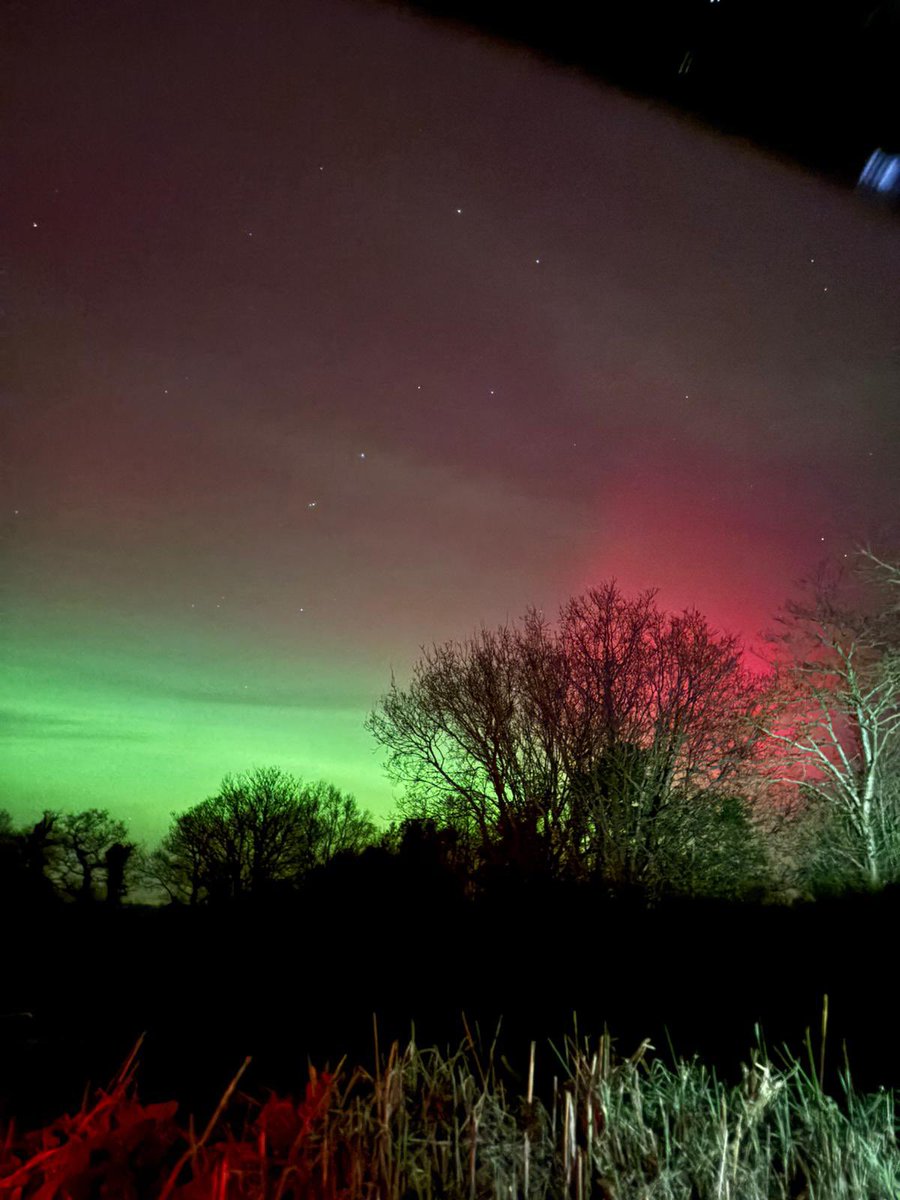 Tim Ring tweet media