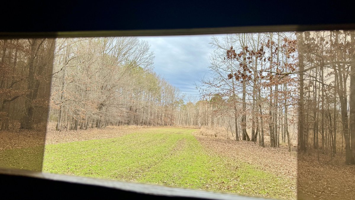 An unforgettable weekend with great friends in Macon County, Alabama! Big thanks to George Mann for the hospitality, and a huge congratulations to Thatch on harvesting his first deer. Moments like these turn into lifelong memories—grateful to be a part of it! 🦌