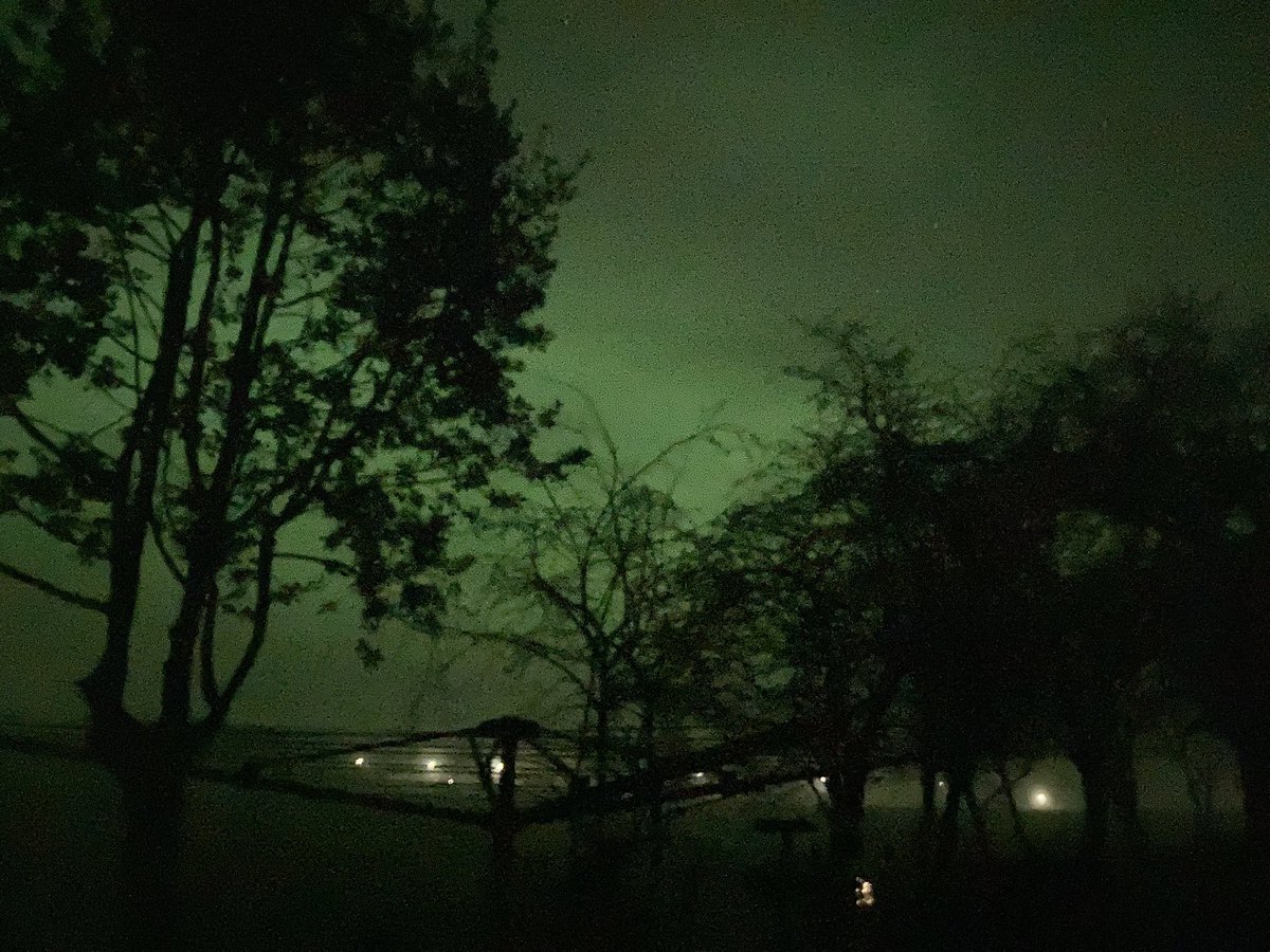 Angela Chesworth 💙 tweet media