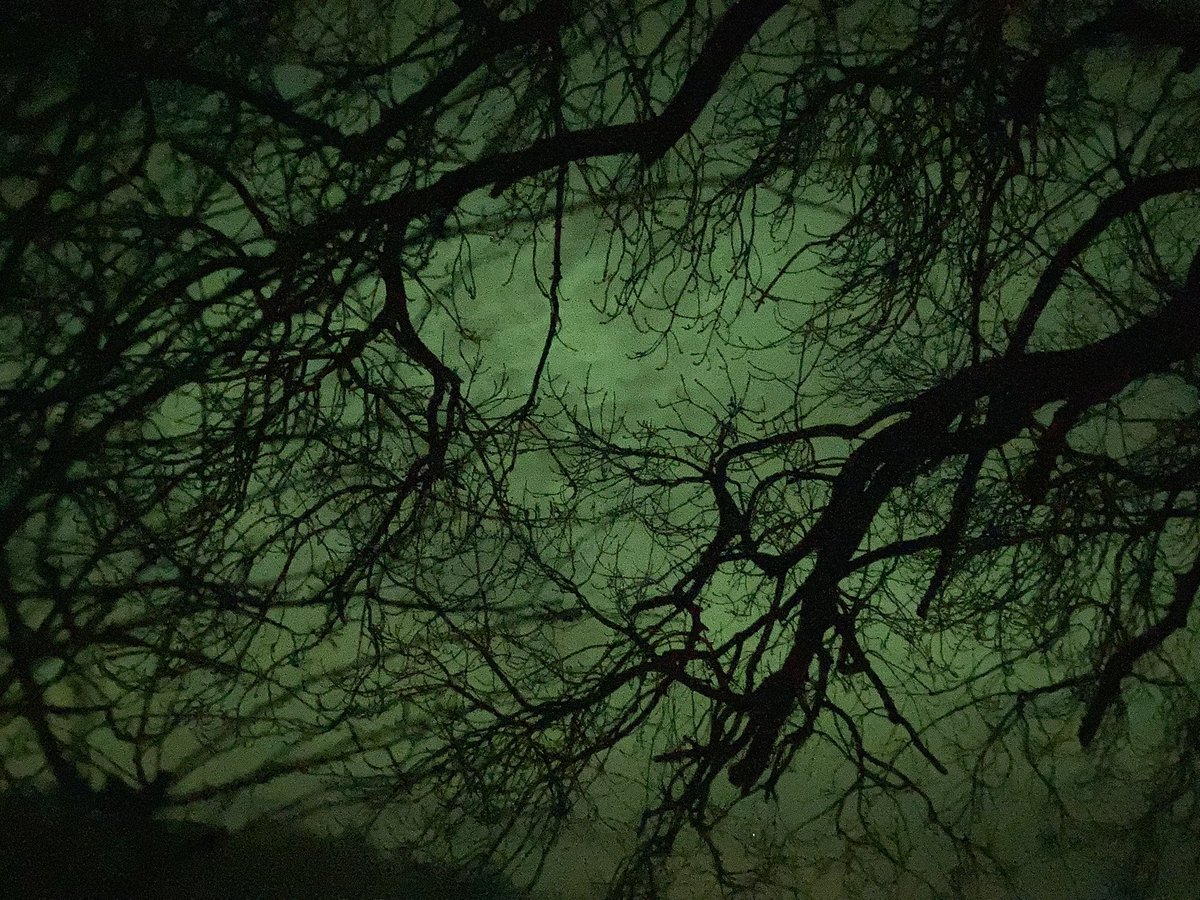 Angela Chesworth 💙 tweet media