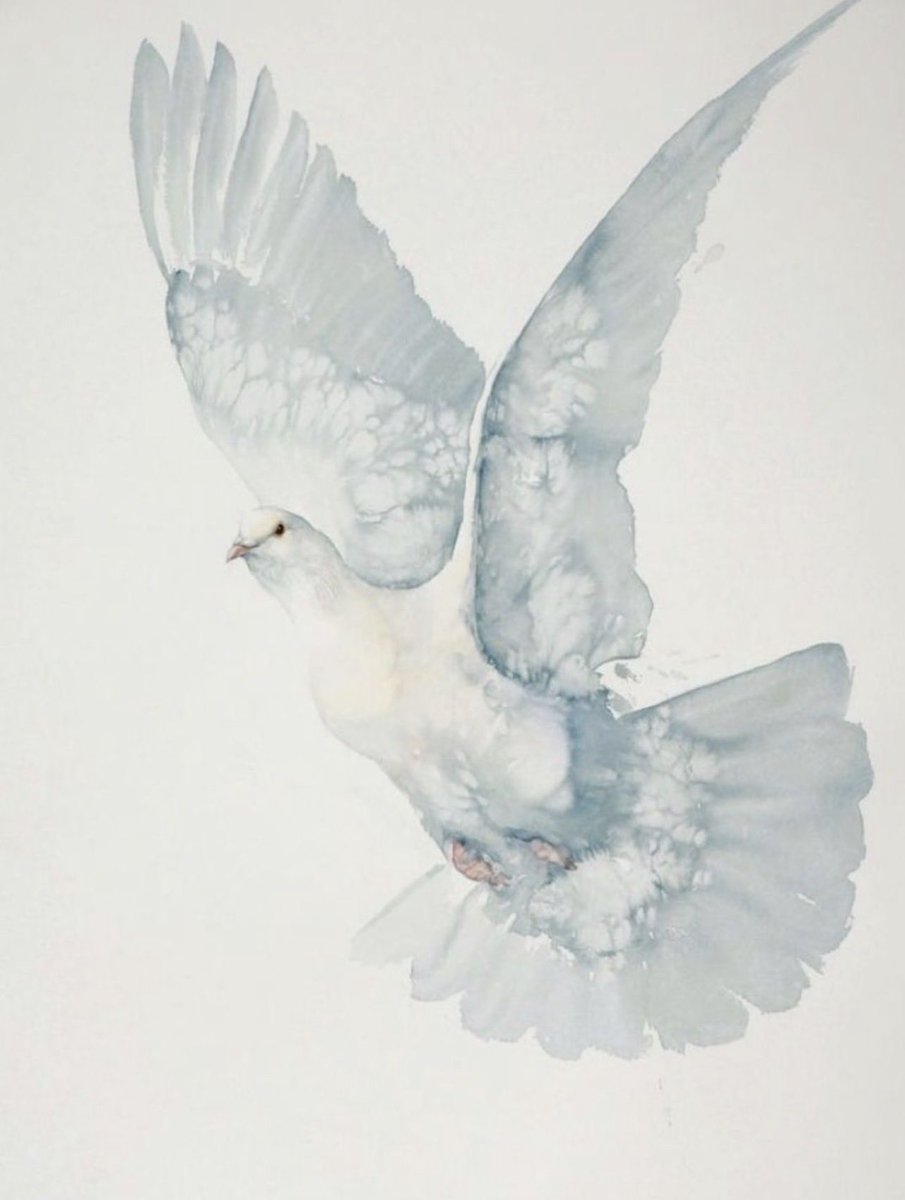 gypsyOTR's tweet photo. “Likewise the Spirit helps us in our weakness. For we do not know what to pray for as we ought, but the Spirit Himself intercedes for us with groanings too deep for words.”
~Romans 8:26🕊 https://t.co/4mJQoJIolq