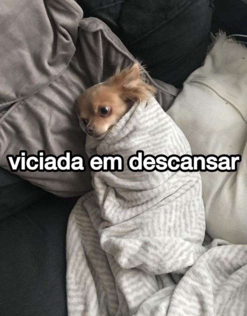 NoronhaVivianne's tweet image. 