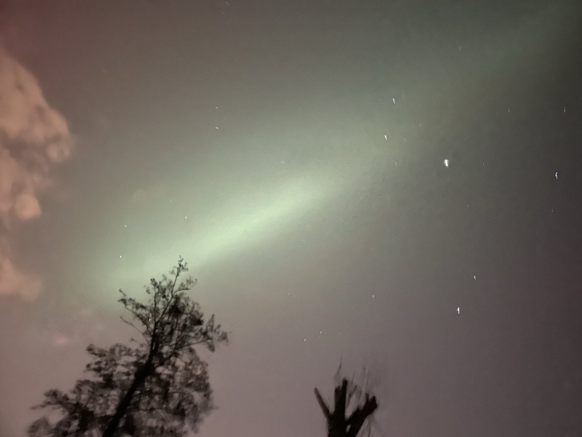 HDozeman's tweet photo. Wageningen Haarweg noorderlicht https://t.co/MgMjkChPGf