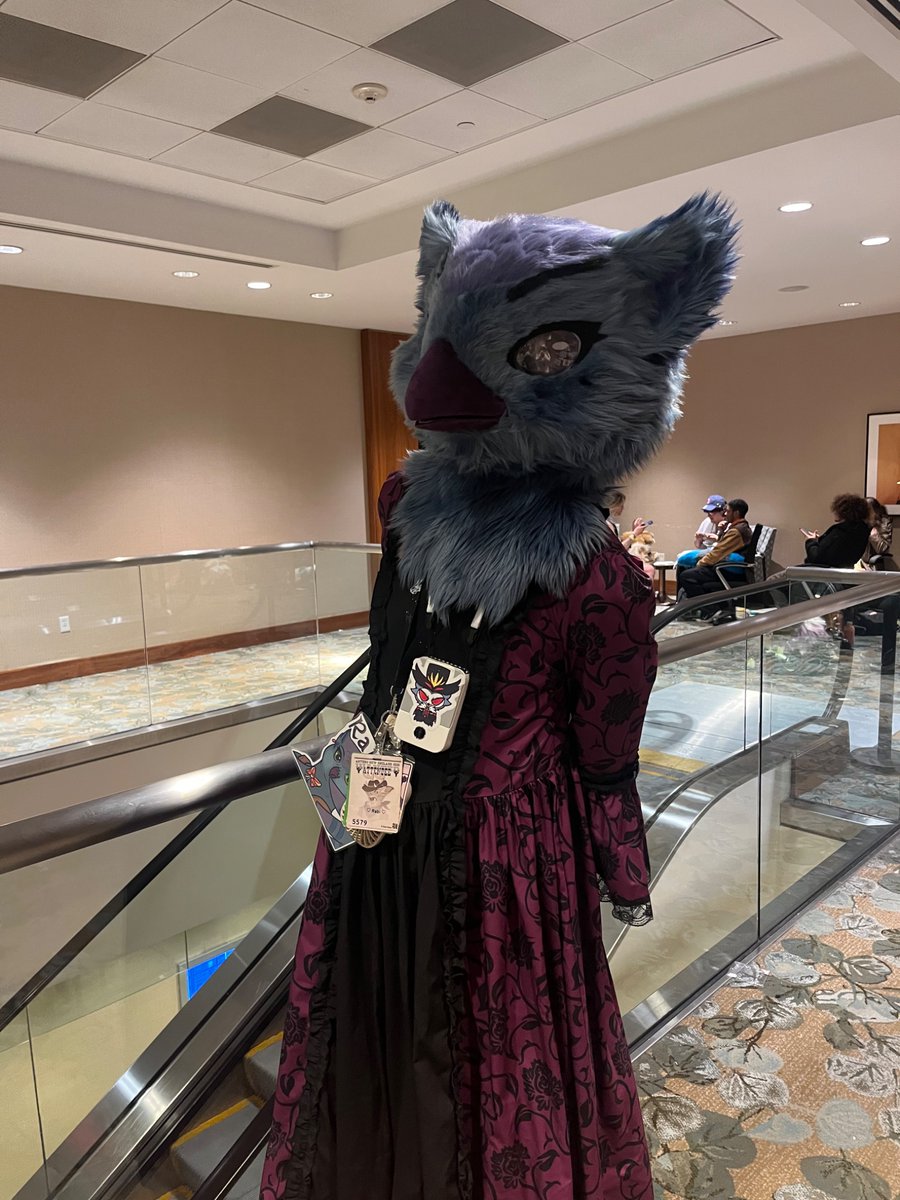 AppleBun tweet media