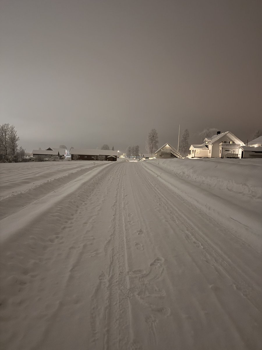 Joakim 🌹🇳🇴🇪🇺 tweet media