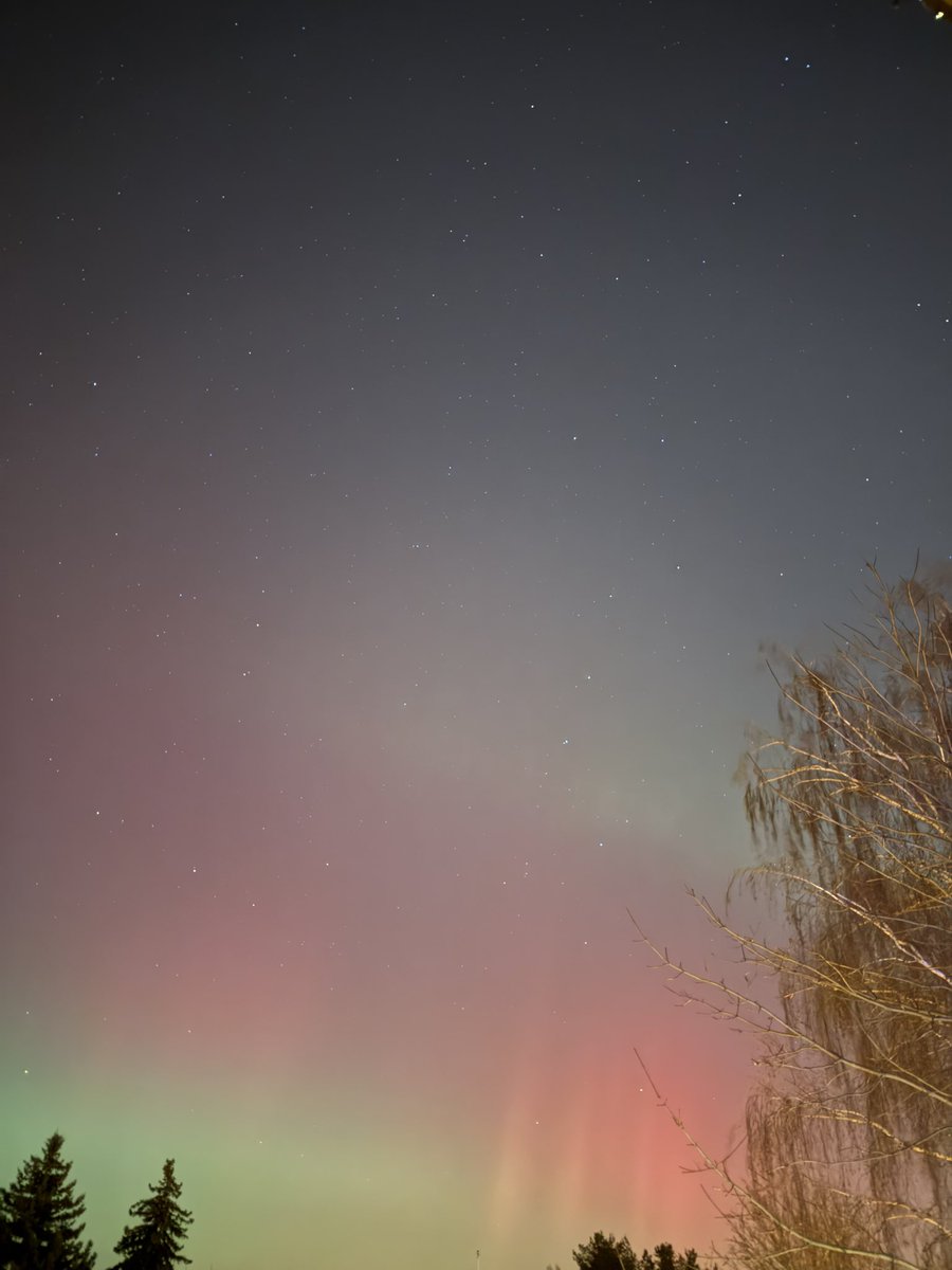 Zikmund Bartonicek tweet media