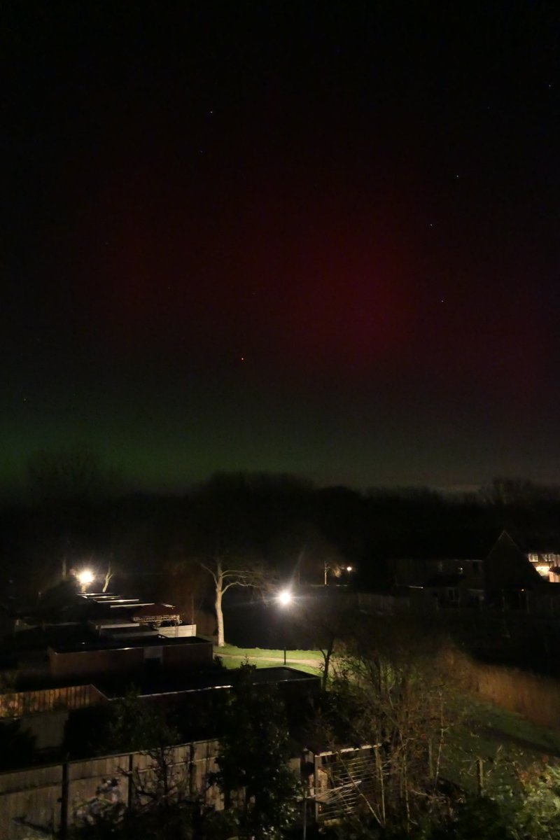 Irene de Bree tweet media