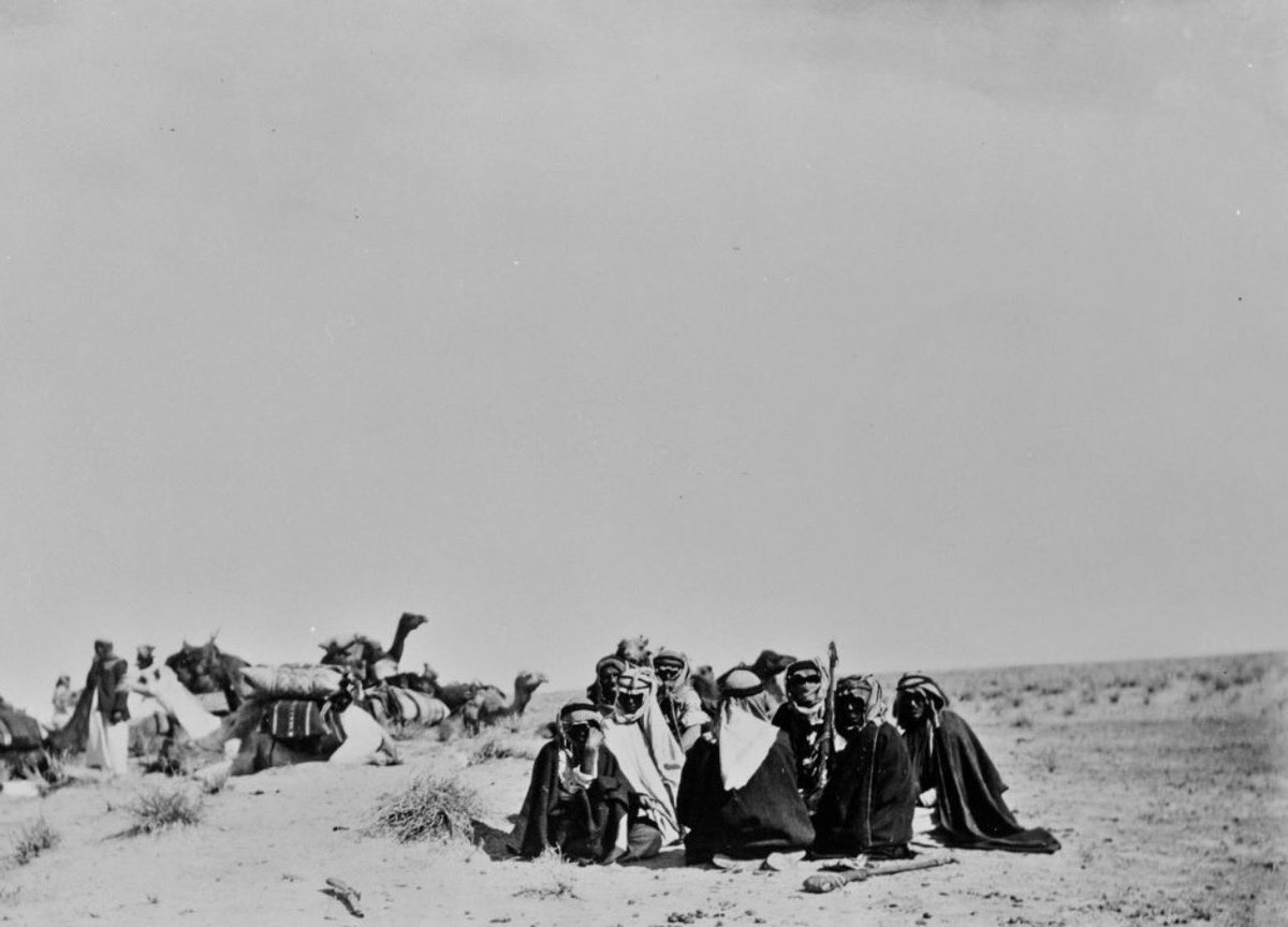 معكاز شعر tweet media