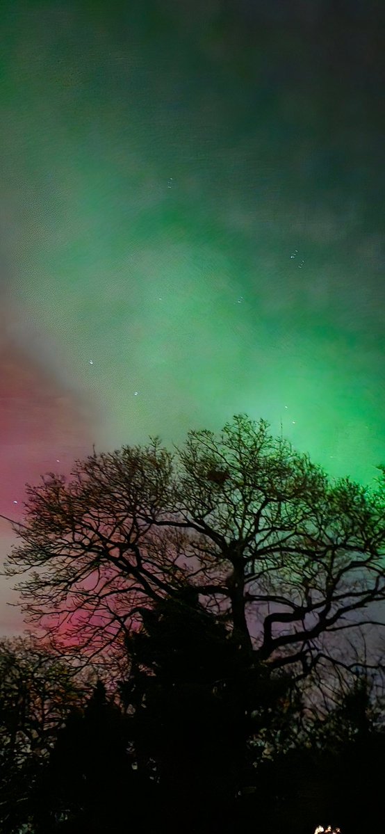 Mittly5's tweet image. Absolutely magnificent strip of green and red, madness

Took this with my phone on night mode in Bournemouth