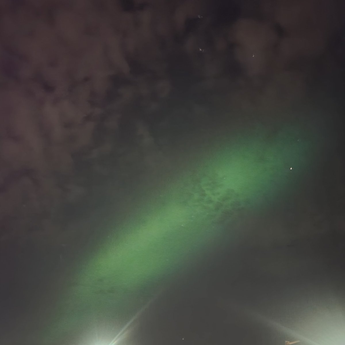 CallmeFIFTY_92's tweet image. THERES SO MUCH STEVE