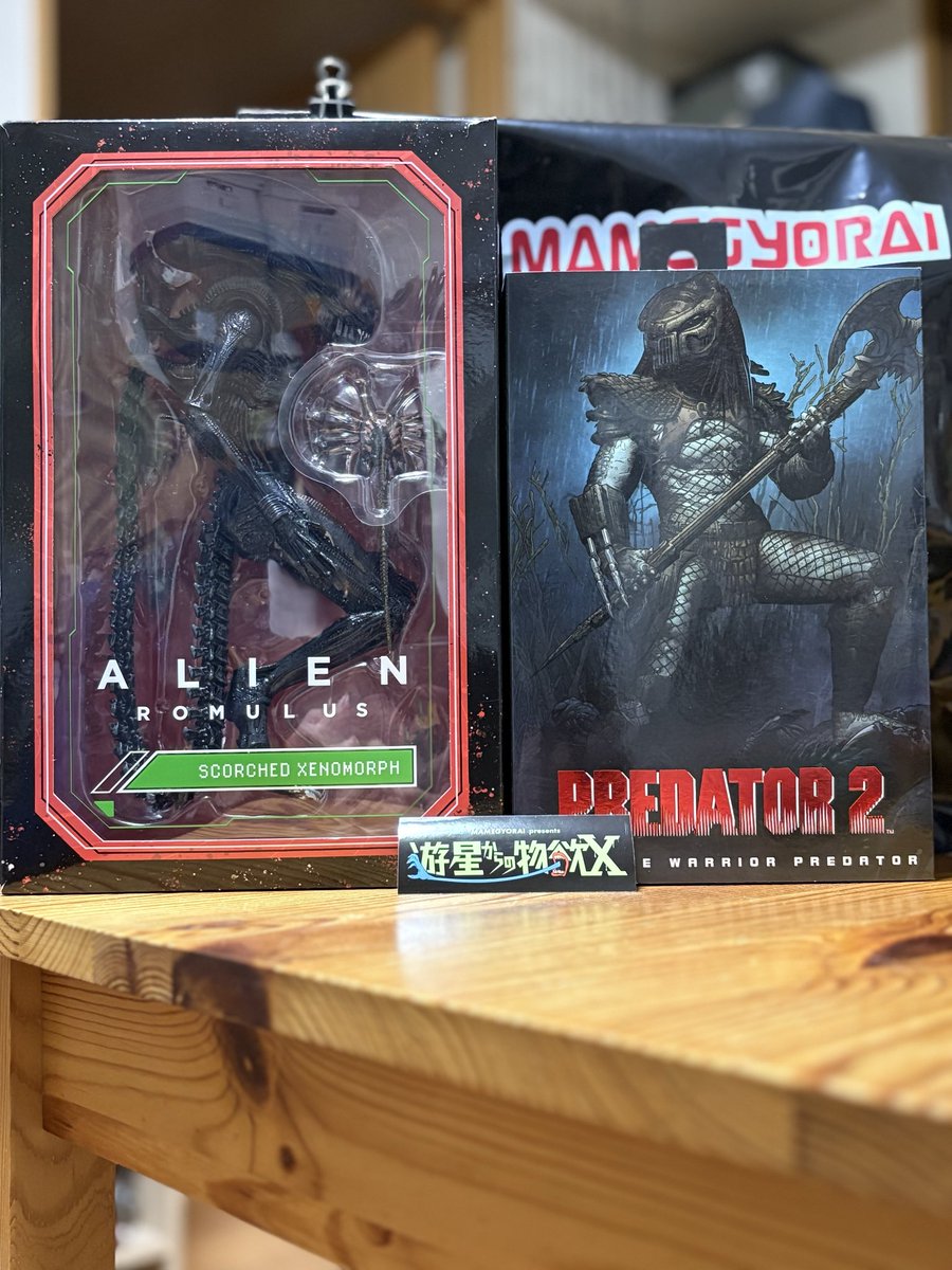 豆魚雷さんで購入させていただいたNECA2体。アメトイあるある訳あり