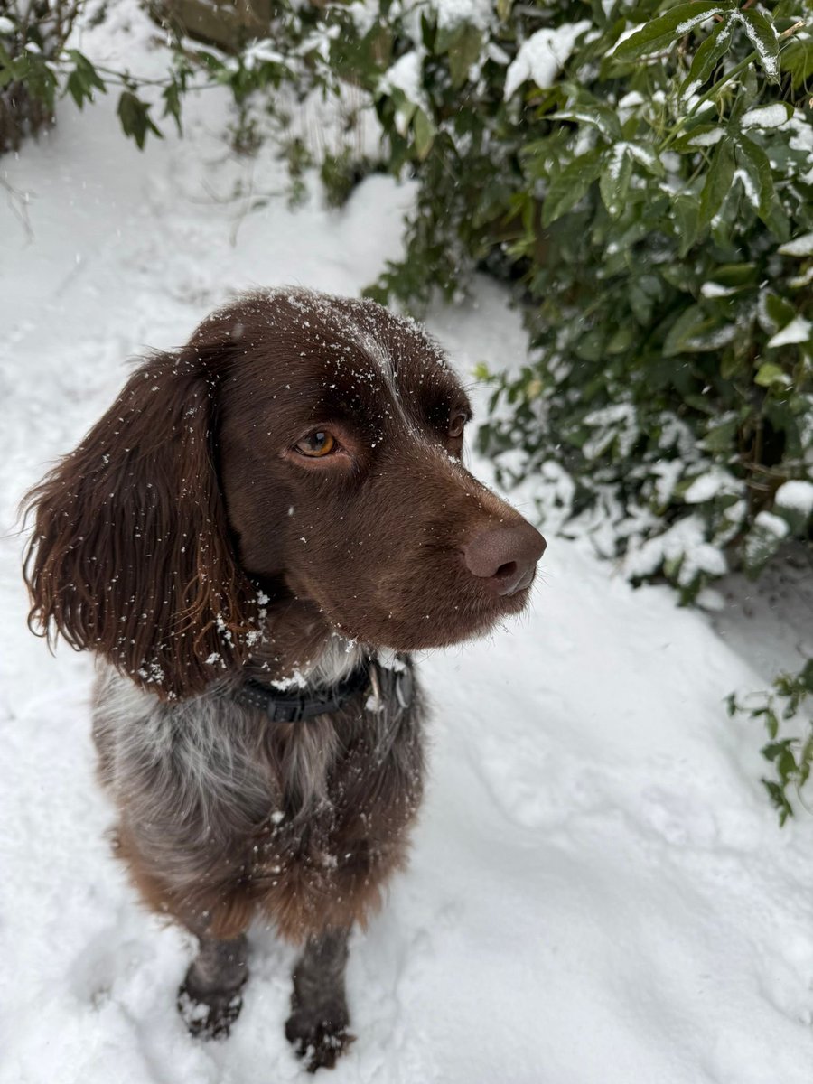 Robert Philips tweet media