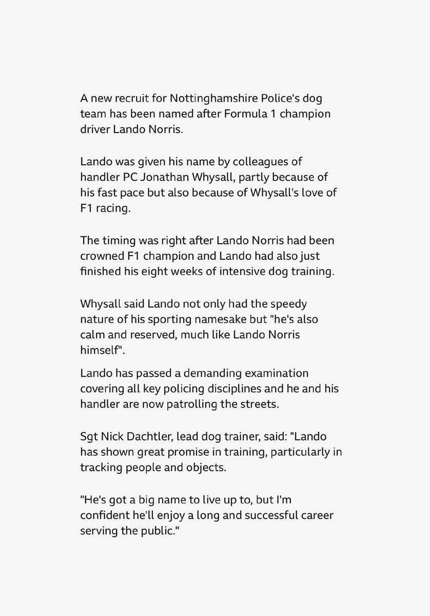 a nottinghamshire police dog has been named after lando 🥰

“whysall said lando not only had the speedy nature of his sporting namesake but ‘he’s also calm and reserved, much like lando norris himself’”