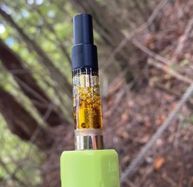 A.Tanaka 📸 tweet media