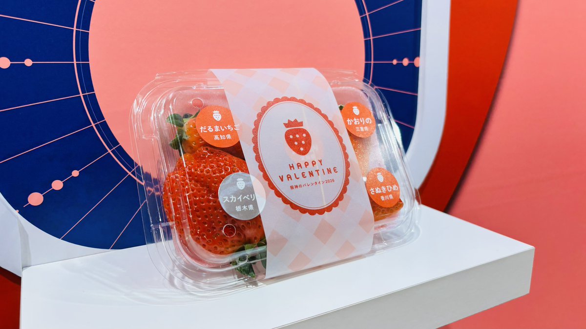 おはようございます🌞 昨日は友人と、いろんな品種のいちごを選んで