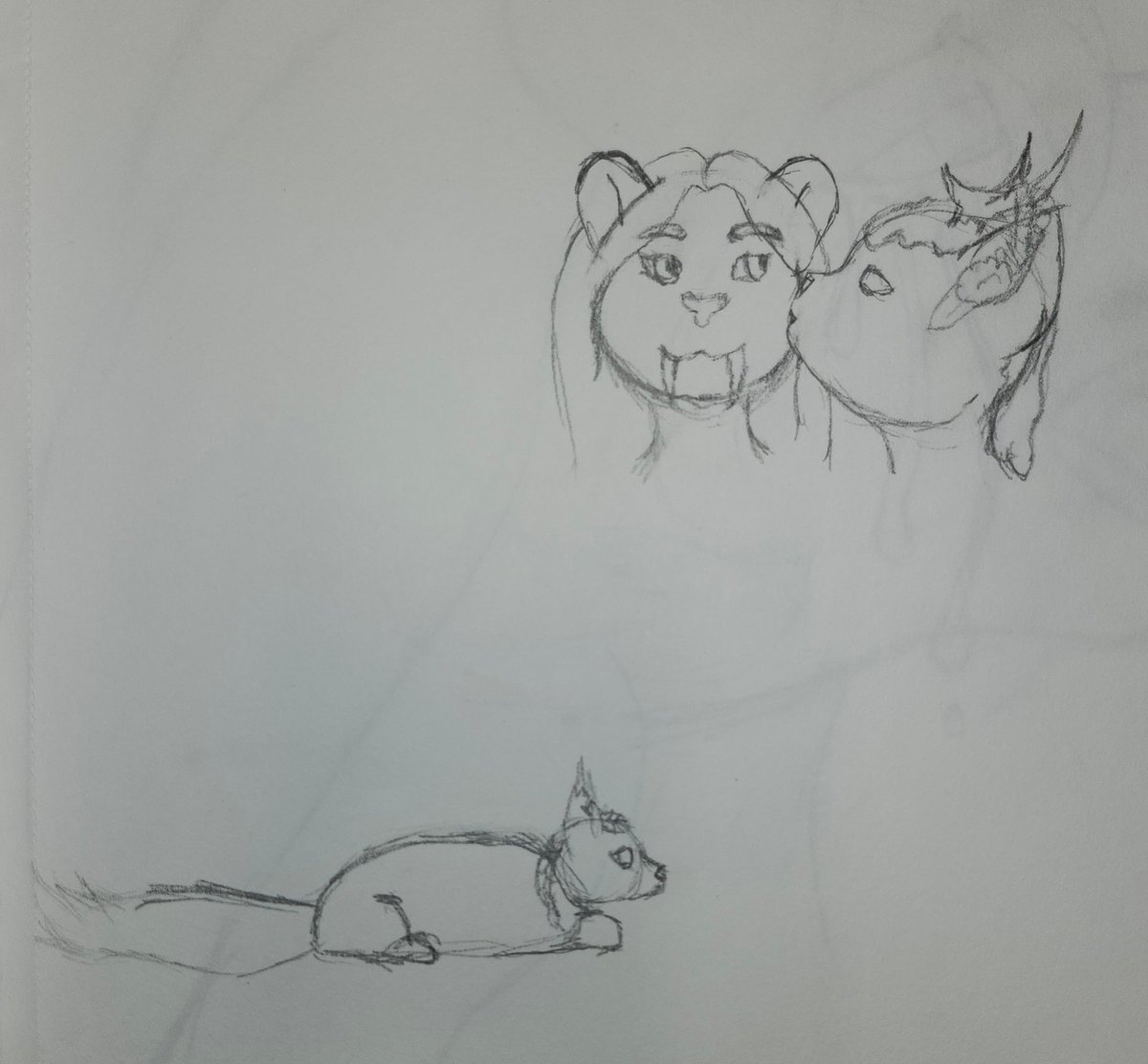 MossAnFoxStudio's tweet photo. Some doodle pages.  Mostly Sage and Faye, but both my partners and my best friend have an appearance in there somewhere

##sketchdump https://t.co/pNRREBj1o1