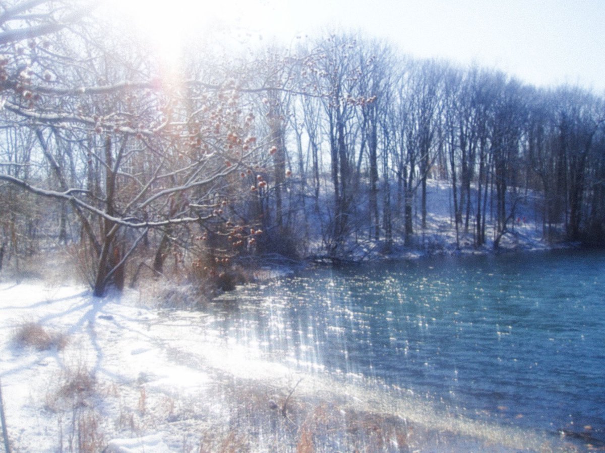 optiquesoie's tweet image. 