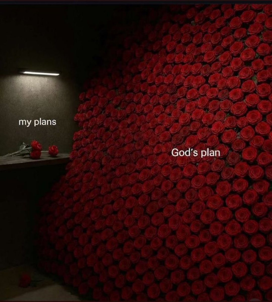 educatedhustler's tweet image. 