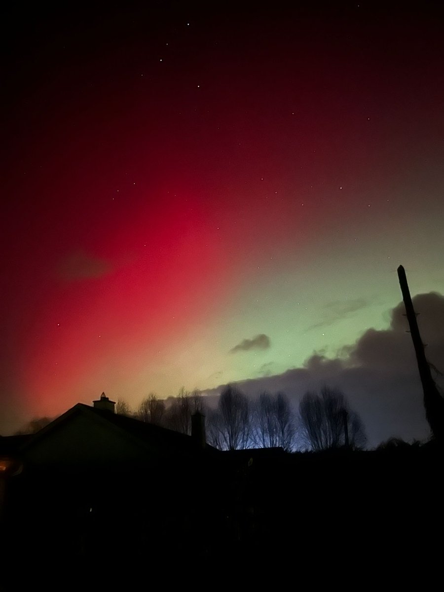 Gillian Knight tweet media