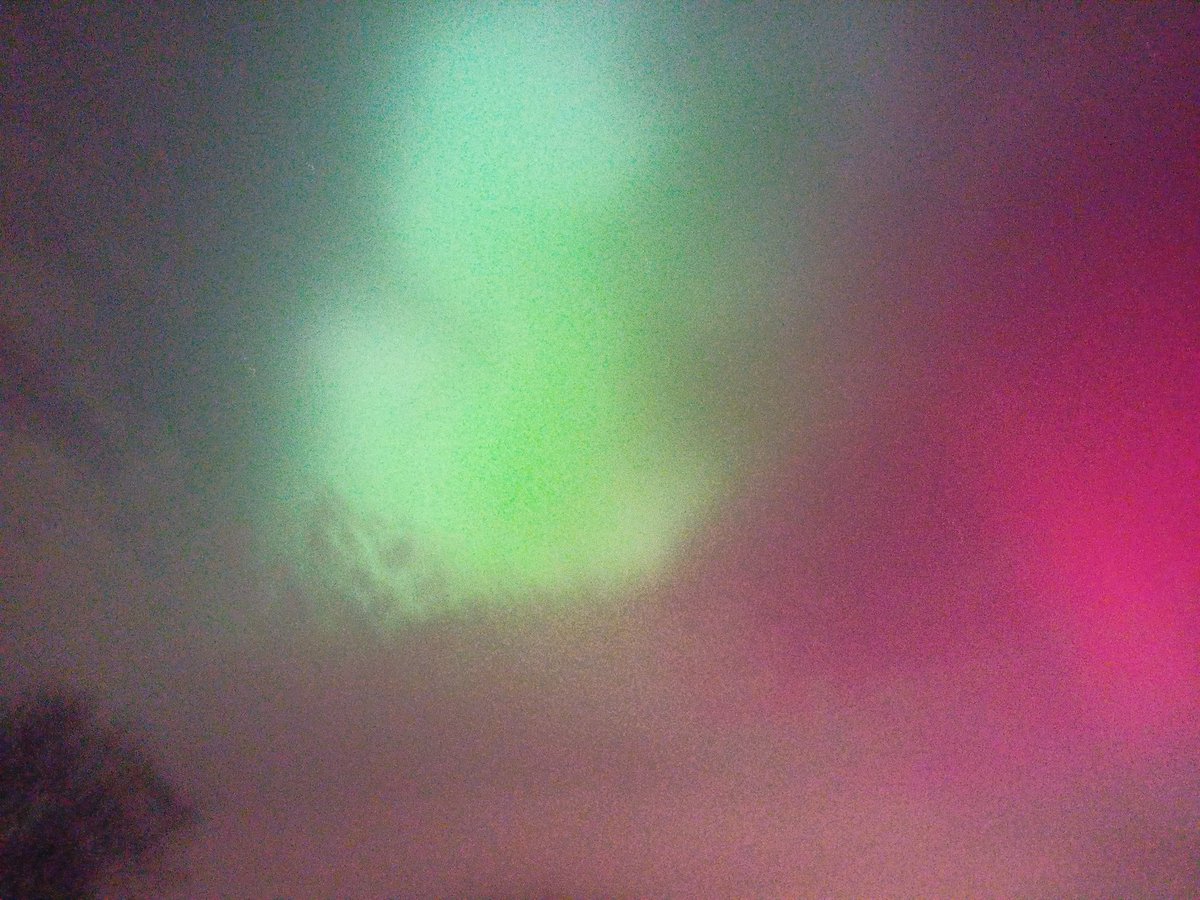 ProfDuthoit▶️ tweet media