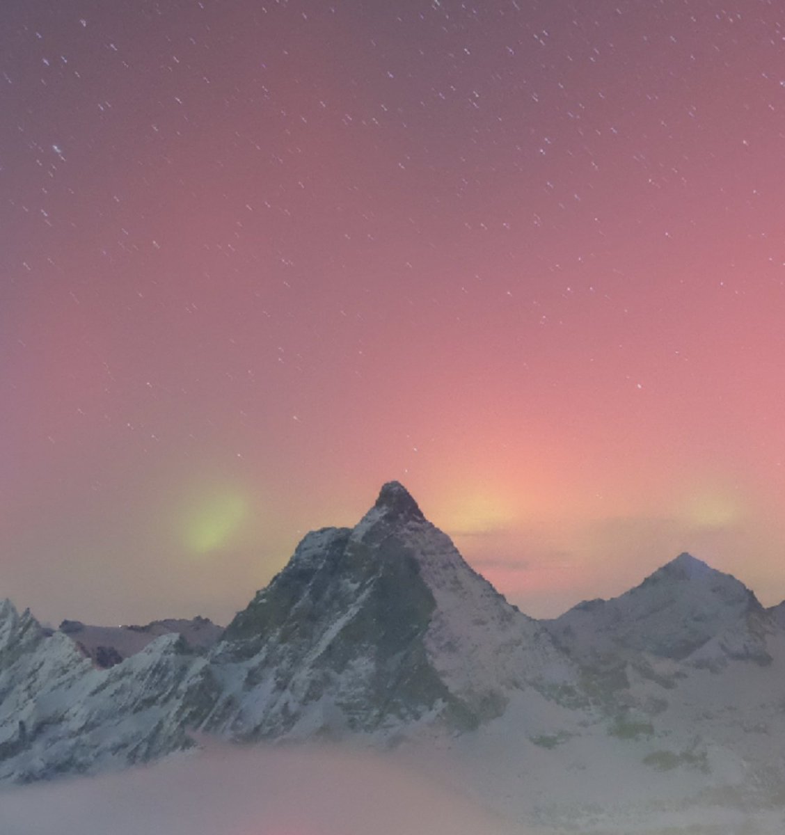 Vincent Ledvina tweet media