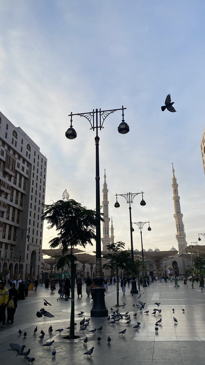 lilaccountz's tweet image. bener ya, sekali udah nginjekkin kaki di tanah suci, sekali ngerasain udara Madinah, rasanya adiktif dan mau balik lagi lagi lagi.

balik ratusan kali pun gaakan cukup. pengennya tinggal disana sekalian.

yaAllah, grant us hajj and umroh soon🥹