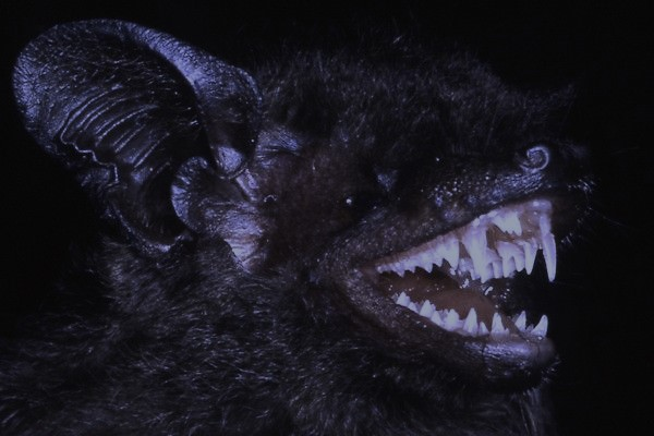 hakaelll's tweet image. 