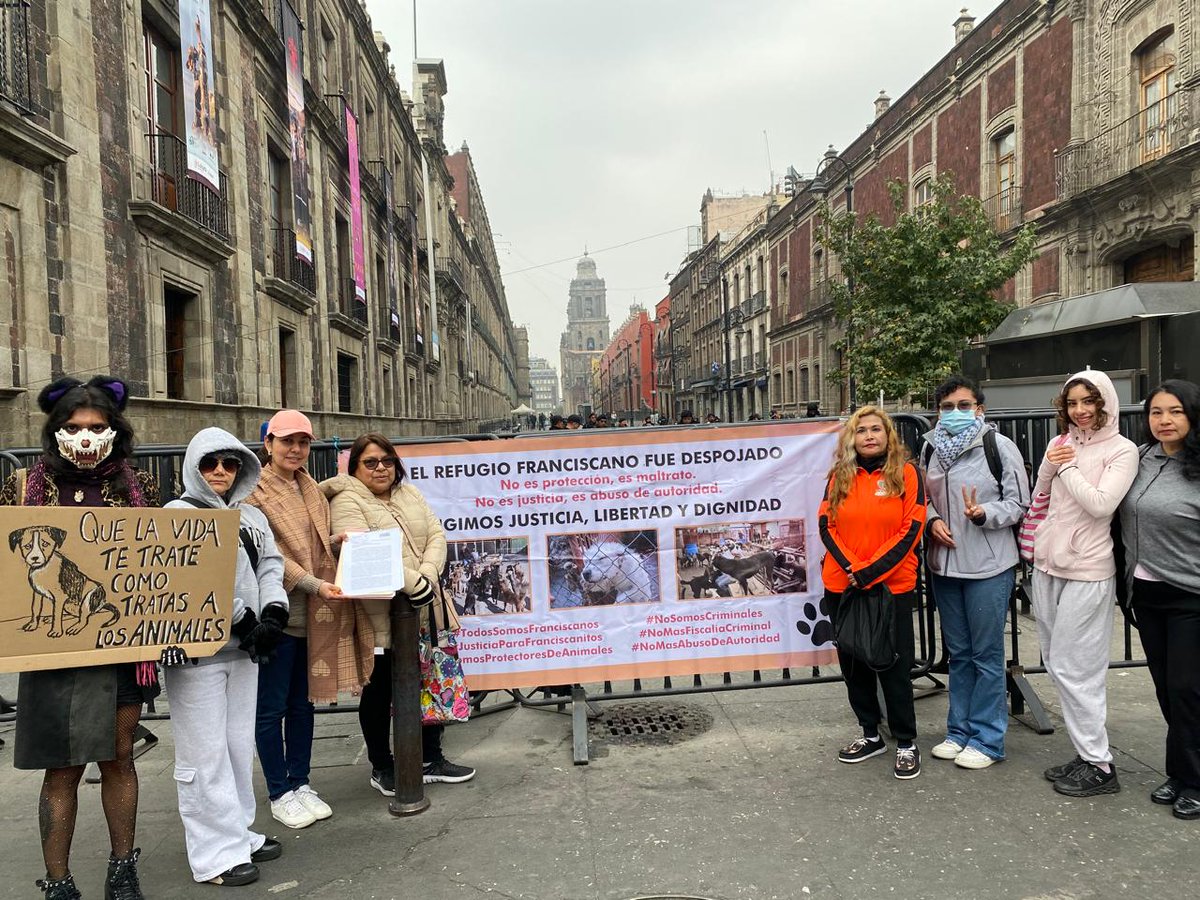 LicAnimalista's tweet image. El caso de los Franciscanitos ya llegó con @Claudiashein esperemos que actúe correctamente en favor de los inocentes que están sufriendo. CCP. @ClaraBrugadaM #JusticiaParaFranciscanitos