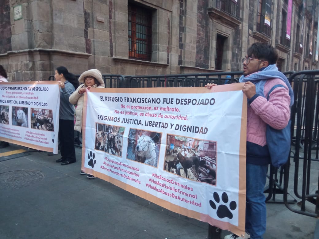 LicAnimalista's tweet image. El caso de los Franciscanitos ya llegó con @Claudiashein esperemos que actúe correctamente en favor de los inocentes que están sufriendo. CCP. @ClaraBrugadaM #JusticiaParaFranciscanitos
