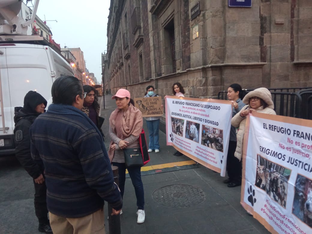 LicAnimalista's tweet image. El caso de los Franciscanitos ya llegó con @Claudiashein esperemos que actúe correctamente en favor de los inocentes que están sufriendo. CCP. @ClaraBrugadaM #JusticiaParaFranciscanitos