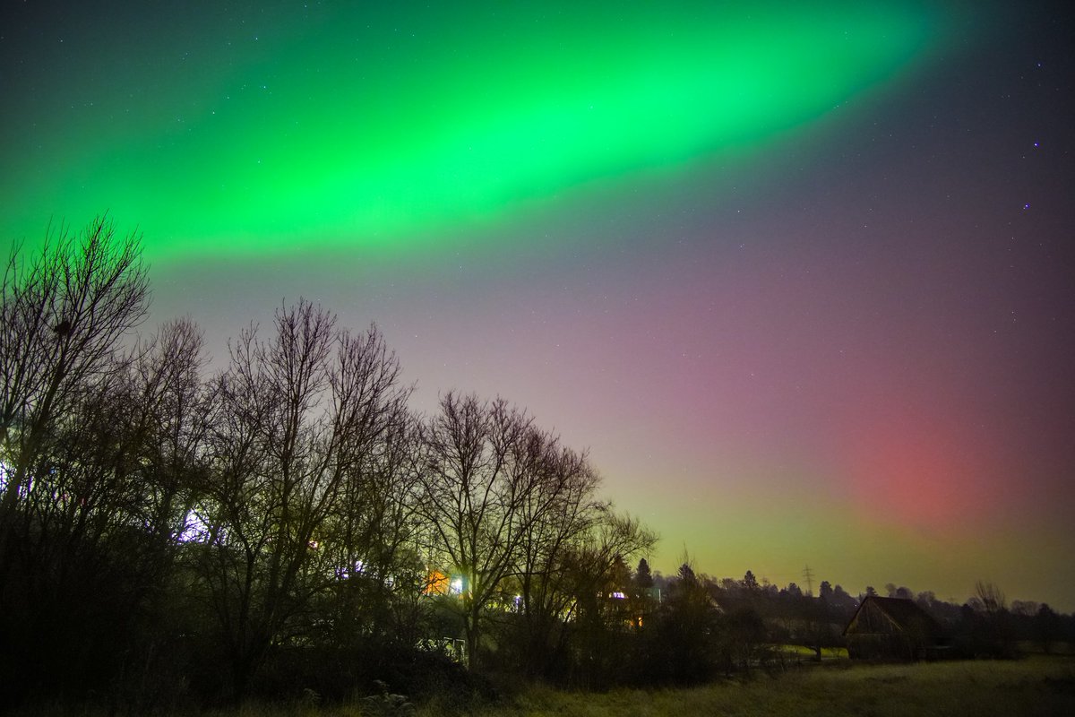 Björn Hoffmann tweet media