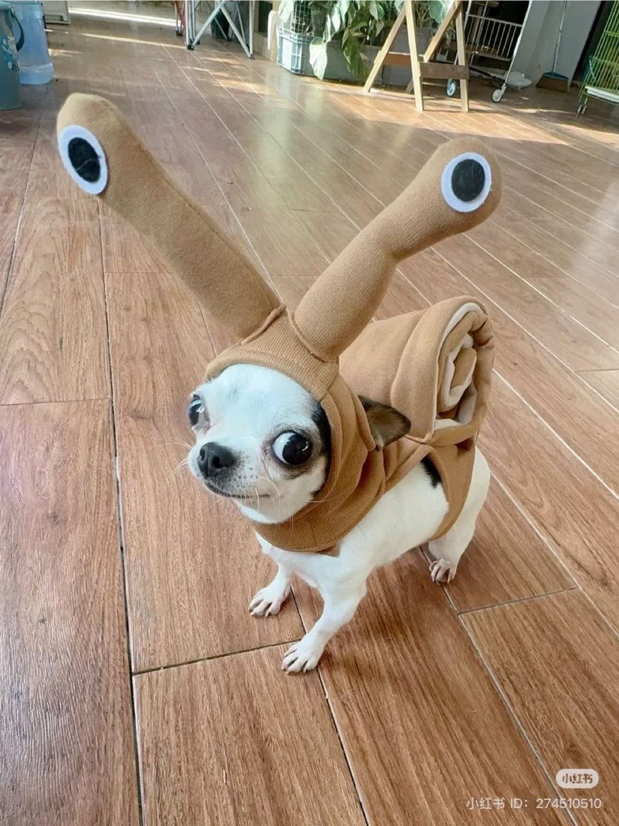 twaniimals's tweet image. 