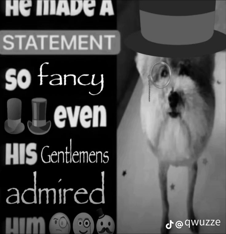 𝒜𝐋𝐖𝐀𝐘𝐒 * 𝐁𝐔𝐒𝐘 .ᐟ tweet media