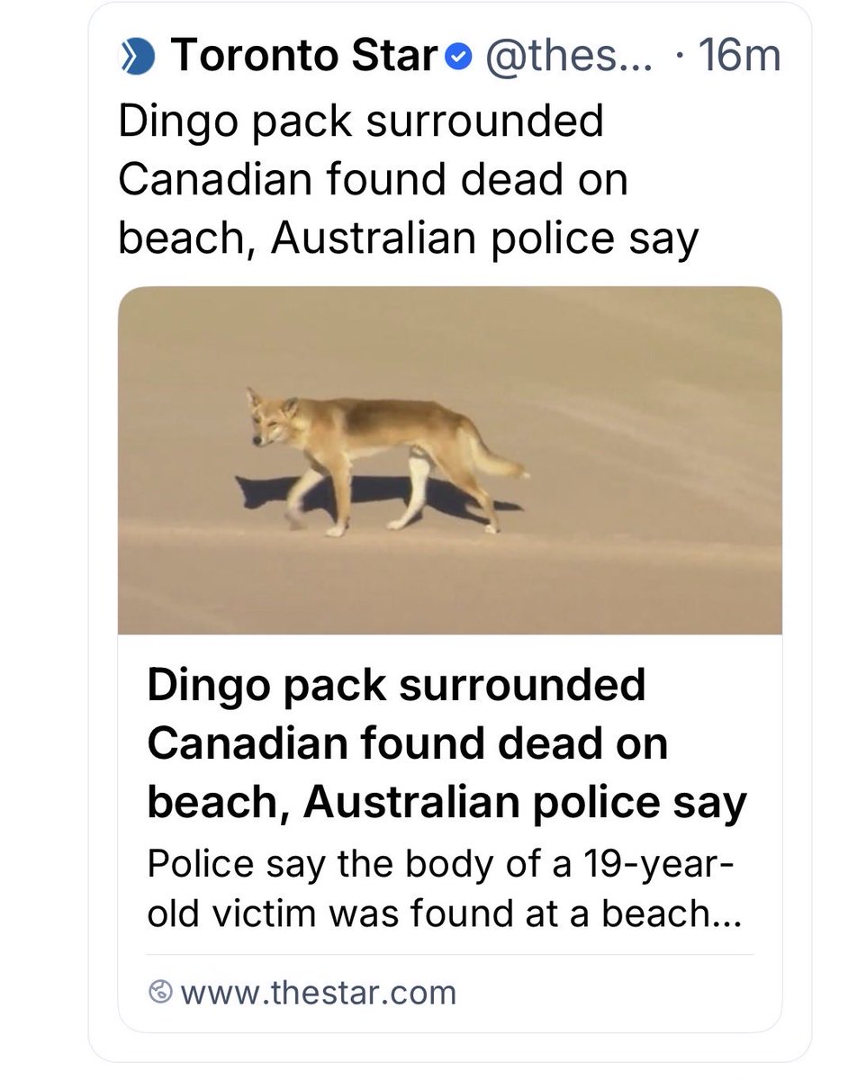 Say what now?
Did they surround him bc he was Canadian?
Or bc he was dead?