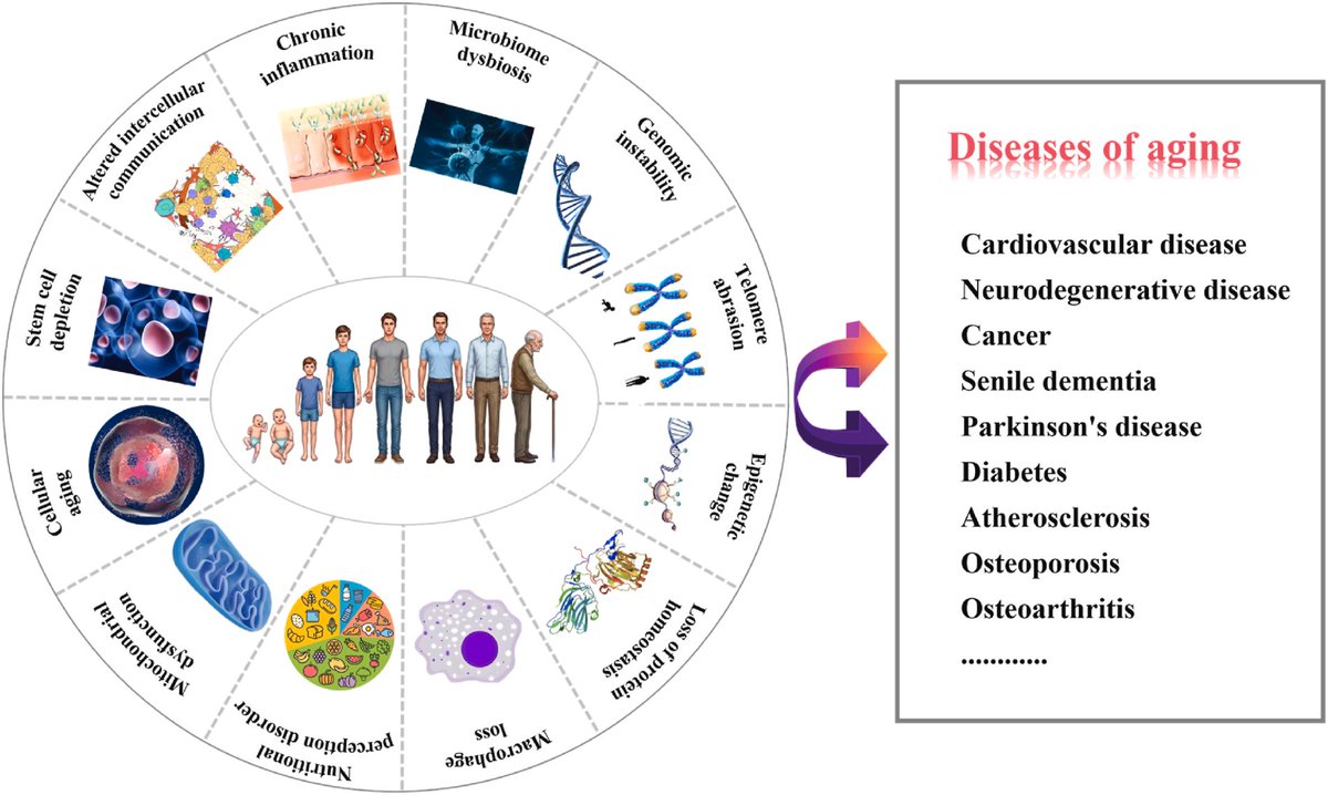 Agingdoc🩺Dr David Barzilai🔔MD PhD MS MBA DipABLM tweet media