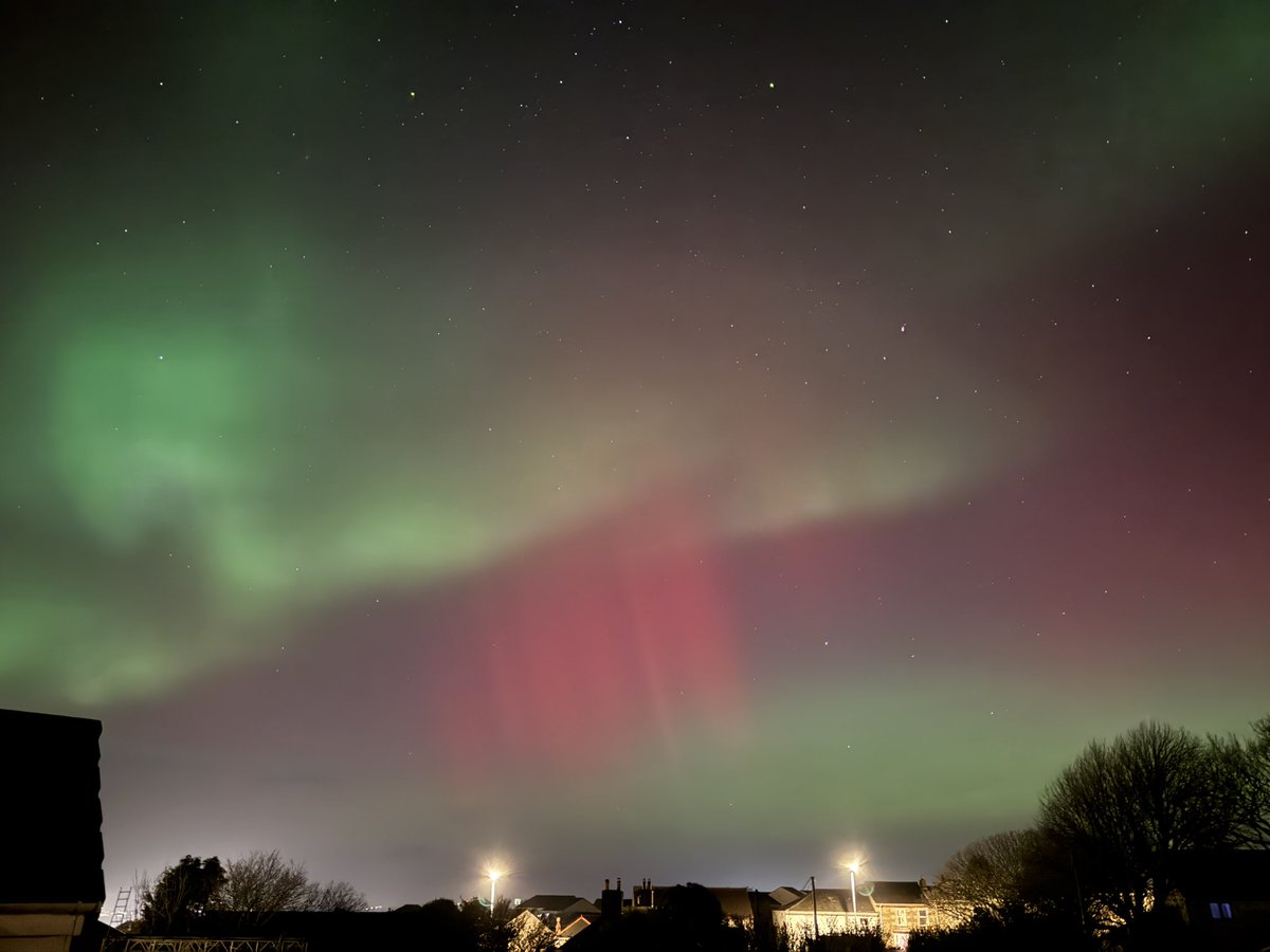 Scott Temple tweet media