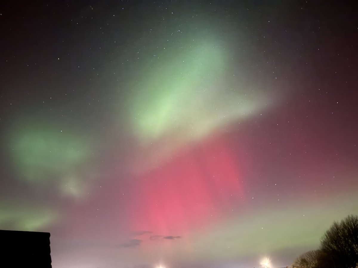 Scott Temple tweet media