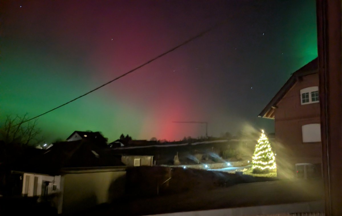 Trine 🌷 tweet media