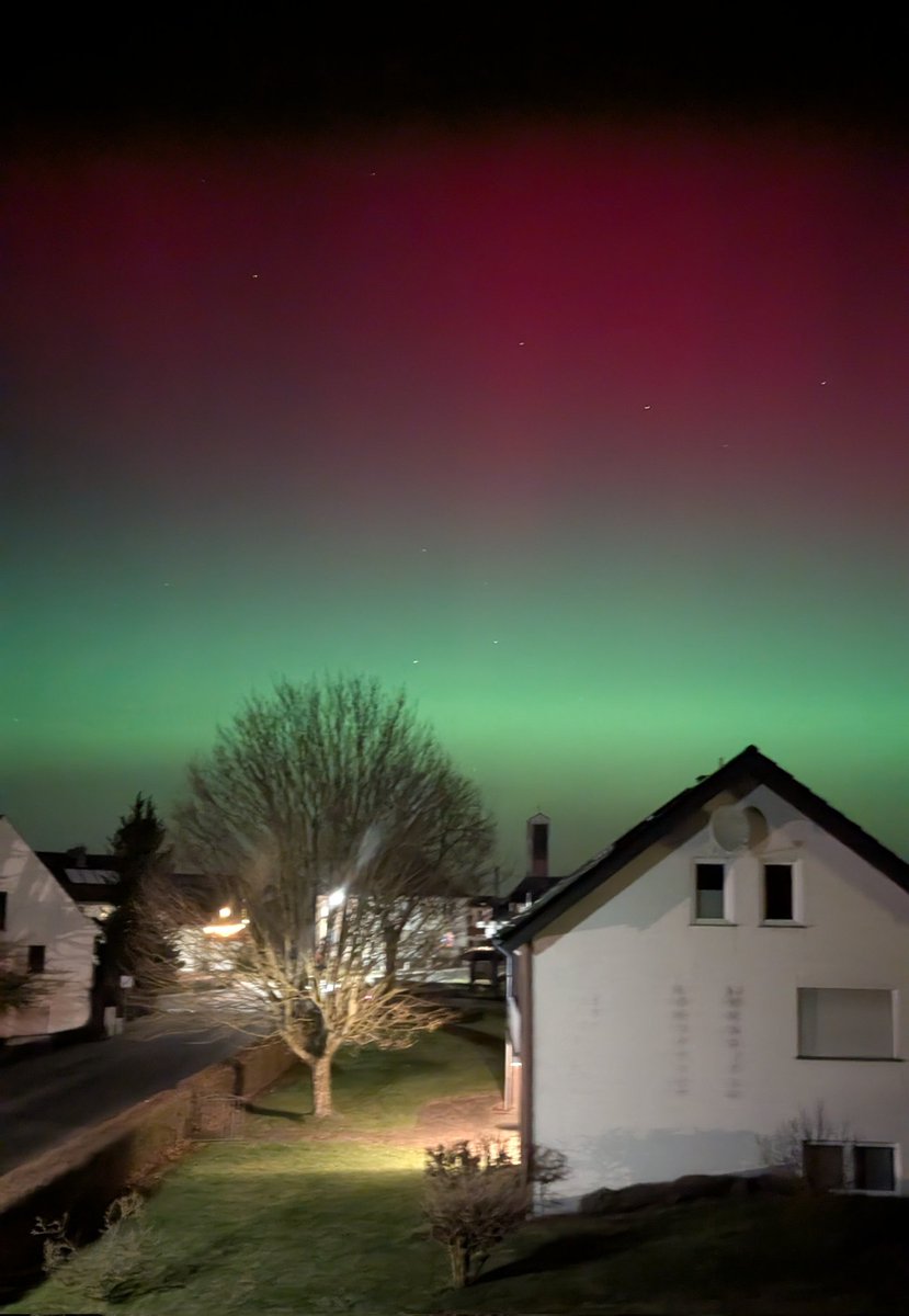 Trine 🌷 tweet media