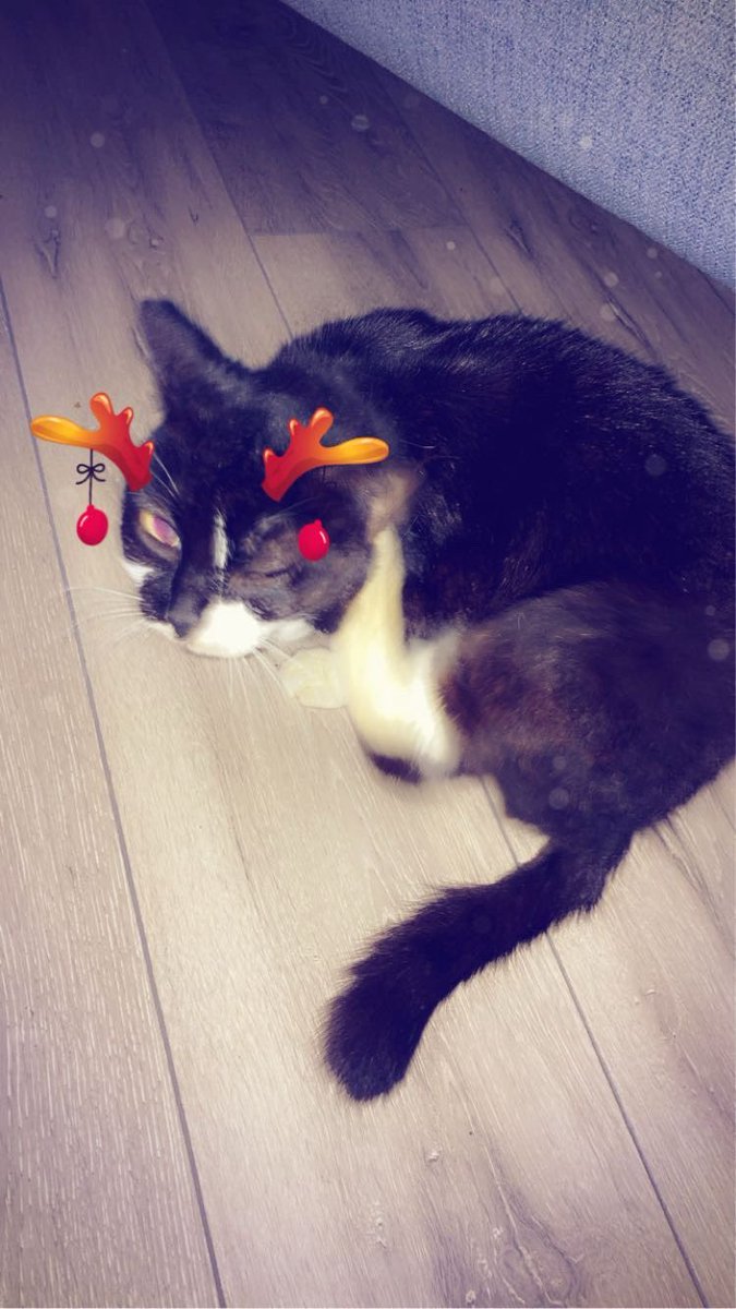 It’s been a really tough week! I’ve not felt like myself! I just miss her so much!!!