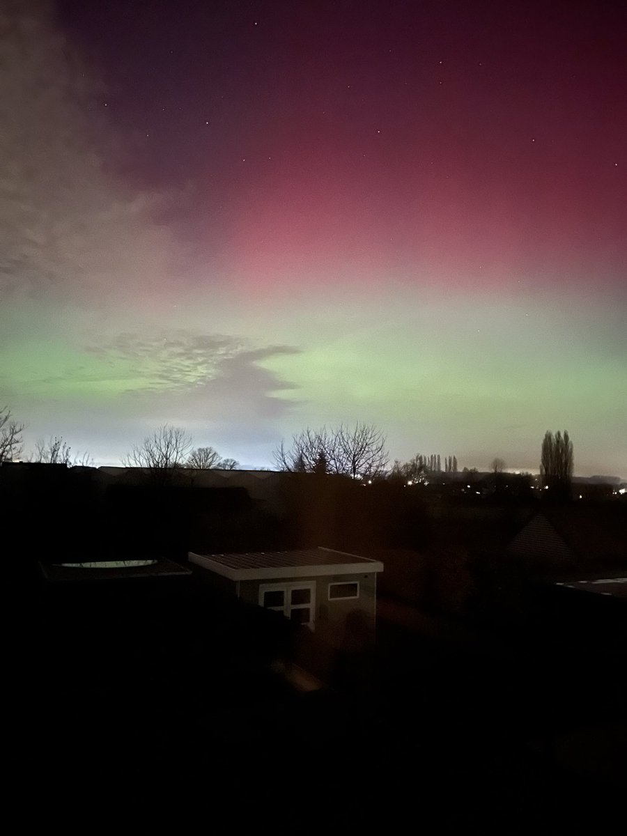 Tom Keppens tweet media