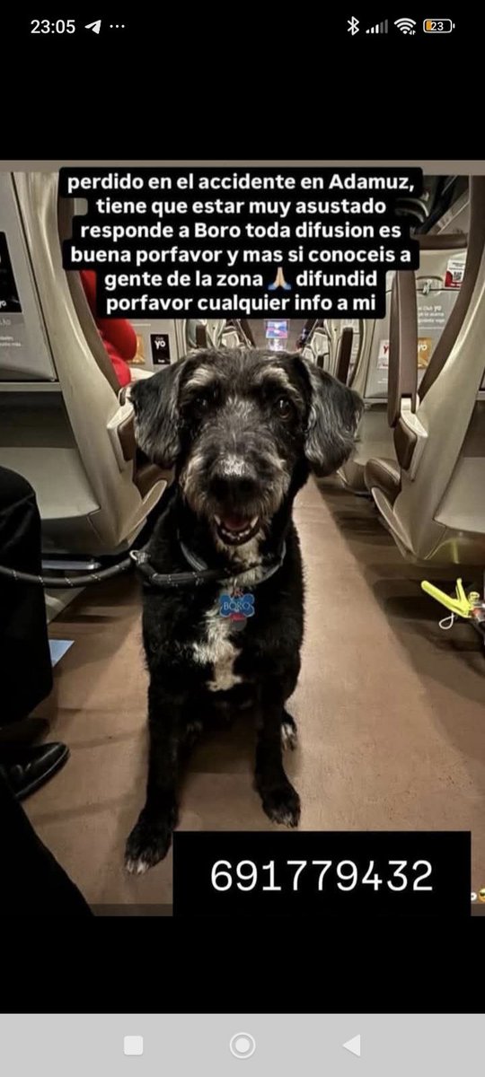 Perdido en accidente de #Adamuz, se llama #Boro
DIFUNDIR a tope por favor 🙏🥺💔📢📢📢📢
Es #URGENTE encontrarlo
Gente de la zona por favor AYUDAR
#Cordoba 
#Andalucia
